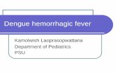Dengue hemorrhagic fevermedinfo.psu.ac.th/nurse/paper_meeting/child_61/child_14.pdf · 2018-05-31 · Case study 2 (cont.) Day 3: กนิไดล้ดลง ถ่ายเหลว