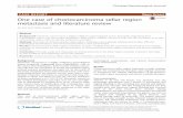 One case of choriocarcinoma sellar region metastasis and … · 2017-08-25 · One case of choriocarcinoma sellar region metastasis and literature review Jin Sun and Yanlin Huang*