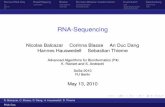 RNA-Sequencing - Freie Universität · Review RNA-Seq Read Mapping Bowtie Burrows-Wheeler transformation Exactmatch Backtracking RNA-Sequencing Nicolas Balcazar Corinna Blasse An
