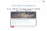 NYHETSBREV - Norsk Fysioterapeutforbund 2-2013.pdf · Nyhetsbrevet til å fokusere på noen som har gjort en ekstra innsats for fysioterapifaget vårt. I denne utgaven vil vi derfor