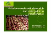 Pridelava avtohtonih slovenskih sort zelenjadnic in semenarjenje pusenjak... · 2017-05-29 · PASTI Prenos glivic, virusov, bakterij Ni pridelka semena – izgubimo doma čo sorto