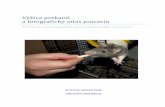Výživa potkanů a fotografický atlas potravinpotkani.rodent.cz/wp-content/uploads/2013/01/Prirucka_krmeni_potkan.pdf · 4 Výživa potkanů Potkaní mládě se od malička učí,
