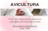 Evolução, situação e perspectivas da Avicultura no Brasil · abastecimento de carne bovina Avicultura ... Espanha, Grécia, Portugal, Itália • A venda de carne de frango para