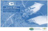 Coastal Blue Carbon in Practice - Restore America's …...Page 5 Coastal Blue Carbon in Practice Methodology Manual • November 2015 range. The scope of the Methodology is global