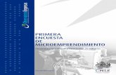 PRIMERA ENCUESTA DE MICROEMPRENDIMIENTO · 2015-08-21 · la encuesta realizado por el Centro de Microdatos de la Universidad de Chile, como parte de un convenio de colaboración
