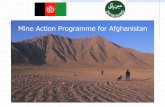 Mine Action Programme for Afghanistan · Current Problems Contamination Total Area Contaminated by Mines - 788.73 SqKm High Impact Areas - 412.62 SqKm Low Impact Areas - 376.11 SqKm