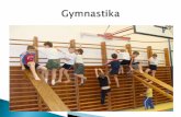 Gymnastické druhy - Masaryk University · gymnastika Sportovní aerobik Prostná Cvičení bez náčiní Kondiční cv. s náčiním Moderní gymnastika Sportovní akrobacie Cvičení