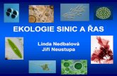 EKOLOGIE SINIC A Ř...Biogeografie mořských makroskopických řas, mechanismy šíření SYLLABUS 3/ Fytoplankton I (LN) Euplankton, meroplankton a pseudoplankton. Světelné podmínky