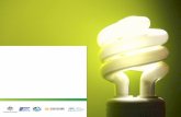 호주의 에너지 효율성 조명 계획 - NECA · 에너지 효율성의 개선은 에너지 인프라 투자 필요성 감소, 연료 비용 절감, 경쟁력 향상, 소비자
