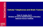 Cellular Telephones and Brain Tumors - NCI DEA · 2011-04-19 · Meningioma – Pooled Analysis • 1,209 meningioma cases, 3,299 controls • OR (regular use)=0.76; CI: (0.65-0.89)