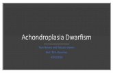Achondroplasia Dwarfism - Longwood Universityblogs.longwood.edu/tyranevers5/files/2018/05/Achondroplasia-Dwarfism.pdf · What is Achondroplasia? •Form of short-limb dwarfism. •Most