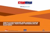 ORTA KARADENİZ BÖLGESİ (TR83) BÖLGESEL REKABET … · Bu rapor Orta Karadeniz Kalkınma Ajansı’nın yararlanıcısı olduğu “Orta Karadeniz (TR83) Bölgesi’nin Rekabetçiliğinin