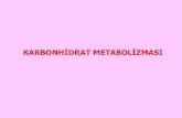 Slayt Başlığı Yok - veteriner.erciyes.edu.tr metabolizması.pdf · Pentoz fosfat yolu, glikoz-6-fosfatın pentoz-5-fosfata oksidasyonuyla NADPH+H temin edilmesi olarak tarif edilebildiği