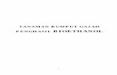 TANAMAN RUMPUT GAJAHcore.ac.uk/download/pdf/12218408.pdf · Bahan yang disajikan di dalam buku ini penulis susun sebagai upaya memperkenalkan Tanaman Rumput Gajah Penghasil Bioethanol