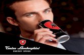 Ginevra and Ferruccio Lamborghinilamborghini-lounge.com/files/documenti/folder-TLED/Catalogo ED_ENG.pdf · clubs around the world. ... Sweden. Miss Universe, Sweden Men’s Handball