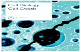 Cell Biology: Cell Death - Volt Tecnologiavolttecnologia.com.br/wp-content/uploads/2016/04/catalogo-cell-death.pdf · this catalog. Our apoptosis signalling pathway can also be found