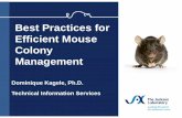 Best Practices for Efficient Mouse Colony …...Best Practices for Efficient Mouse Colony Management Overview of Today’s Presentation 2 Mouse reproduction Factors affecting breeding