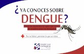 YA CONOCES SOBRE DENGUE - ESE Cartagenaesecartagenadeindias.gov.co/wp-content/uploads/2018/12/DENGUE.pdf · Para prevenir el dengue se deben evitar los depósitos de agua que sirven
