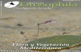 David Melero López Drosophila OLETÍN · erosión, mejora del clima, regulación de cauces y contención de aguas de escorrentía, cobijo y alimentación de la fauna, etc. En estos