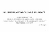 BILIRUBIN METABOLISM & JAUNDICE Metabolism Jaundice PPP 9.pdf ¢â‚¬¢Some urobilinogen is reabsorbed and