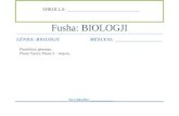 Planifikimi i kurrikulës për klasën e X Fusha: BIOLOGJI · Web viewKlasifikime (Mbretëritë e qenieve te gjalla, sistemi binominal i klasifikimit) (8 orë) Të ushqyerit te bimët