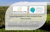 Forest Plantations in the context of the BioeconomyForest Plantations in the context of the Bioeconomy Luiz Cornacchioni October 31, 2013 2nd Finnish-Brazilian Workshop on Biomass