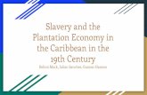 Plantation Economy in the Caribbean in the Slavery …...Early 19th Century: Impacts of the Haitian Revolution Saint Domingue made up 30% of total world production and led to a rise