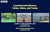 Cyanobacterial Blooms: Tastes, Odors, and ToxinsSep 23, 2015  · Cyanobacteria are true bacteria, but have chlorophyll-a like algae. • Structurally the cyanobacteria are bacteria-like,