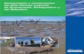 restaurar los humedales, de Guanacache, Desaguadero y del …aquabook.agua.gob.ar/.../10_2/LagunasdeGuanacache.pdf · 2016-07-01 · de humedales en áreas piloto del Sitio Ramsar