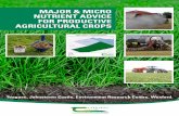 MAJOR & MICRO NUTRIENT ADVICE FOR …...Major & Micro Nutrient Advice For Productive Agricultural Crops 2 Acknowledgements The editors wish to acknowledge the considerable help given