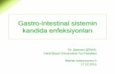 Gastro-intestinal sistemin kandida enfeksiyonları...Orofarinks kandidozu •Hastaların çoğunda orofarinkste mukozit ve ülserasyonlar (+) –Dil, yanak mukozası, sert damak ve