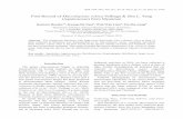 First Record of Macrolepiota velosa Vellinga & Zhu L. Yang ... · Bull. Natl. Mus. Nat. Sci., Ser. B, 45(2), pp. 71–76, May 22, 2019 First Record of Macrolepiota velosa Vellinga