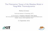 The Polarization Tensor of the Massless Mode in …hofmann/ICNAAM_Schwarz...The Polarization Tensor of the Massless Mode in Yang-Mills Thermodynamics Markus Schwarz Karlsruhe Institute