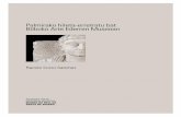 Palmirako hileta-erretratu bat Bilboko Arte Ederren Museoan · 2018-09-24 · 6 Palmirako monumentuak ondo ezagunak dira, kokalekua bakarturik geratzean, gorde egin baitira hein handi