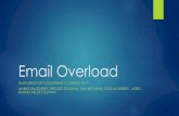Email Overload · 2019-01-17 · 2) Partner with ITSD to identify strategies for reducing email overload A common source of email overload among DMH employees consists of ITSD Program