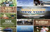 Andrew M. Cuomo, Governor Basil Seggos, Commissioner · Andrew M. Cuomo, Governor | Basil Seggos, Commissioner. New York’s breathtaking natural resources are unique, abundant and