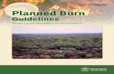 Department of National Parks, Recreation, Sport and Racing … · Mulga Lands Bioregion of Queensland. Department of National Parks, Recreation, Sport and Racing. Planned Burn. Guidelines.