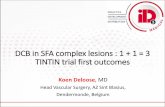 DCB in SFA complex lesions : 1 + 1 = 3 TINTIN trial first ... · DCB in SFA complex lesions : 1 + 1 = 3 TINTIN trial first outcomes Koen Deloose, MD Head Vascular Surgery, AZ Sint