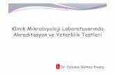 Klinik Mikrobiyoloji Laboratuvarında Akreditasyon ve Yeterlilik … · 2014-03-11 · ISO 17025 Deney ve Kalibrasyon Laboratuvarlarının Yeterliliği için Genel Şartlar ISO 15189