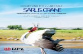 SARUS CRANE - UPL...structure of Sarus cranes in study area during April 2016 - March 2017 Summer congregation sites in Kheda district during 2015 – 2017 Winter congregation of Sarus