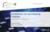 Guidelines on developing TYNDPs - ENTSOG...Guidelines on developing TYNDPs Rares MITRACHE System Development 23 November 2017 Stakeholders’ Workshop 2 • ENTSOG TYNDP Guidelines