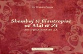 Shembuj të filantropisë në Mal të Zi - :: fAKTfaktcg.org/files/prirucnici/filantropija_alb.pdfShembuj të filantropisë në Mal të Zi deri në fund të shekullit XX Parathënie