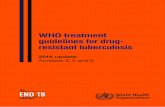 WHO treatment guidelines for drug- resistant …...WHO TREATMENT GUIDELINES FOR DRUG-RESISTANT TUBERCULOSIS, 2016 UPDATE 2 1. Shorter regimens for MDR-TB (PICO 3) Author(s): Ahmad
