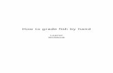 How to grade fish by hand - Seafood Training Academyseafoodacademy.org/pdfs/106k-grade-fish-and-shellfish-by... · 2018-04-06 · 3. Know how to grade fish/shellfish by hand . 3.1