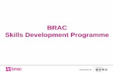 BRAC Skills Development Programme · 2018-09-06 · Skills Development Programme • Established in 2015 • Skills training via hands-on apprenticeships and institution and better