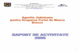 ROMÂNIA AGENŢIA JUDEŢEANĂ PENTRU OCUPAREA FORŢEI DE …ajofm-bv.ro/site/rapoarte/raport activitate 12 luni 2006.pdf · persoane înregistrate pentru sustinere interviu: 876 ...