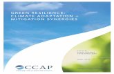 CCAPccap.org/assets/CCAP-Green...Adaptation-Mitigation... · Green Resilience: Climate Adaptation + Mitigation Synergies 2 Acknowledgements This paper was written by Shana Udvardy,