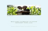 Malawi Climate Action Report for 2016 - Irish Aid...MALAWI CLIMATE ACTION REPORT FOR 2016 1 TABLE OF CONTENTS Country Context.....2 Overview of Climate Finance in Malawi in Recent