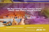 El Agronegocio Uruguayo: Pilar del País Productivorepositorio.iica.int/bitstream/11324/7196/1/BVE18040251e.pdf · 2018-09-07 · capitalizar estas oportunidades y 3) proponer los