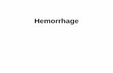 Hemorrhage and hemostasis · Shock is the final common pathway for several potentially lethal clinical events, including severe hemorrhage, extensive trauma or burns, large myocardial
